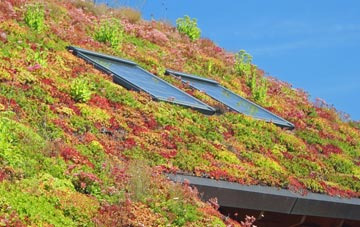 New Costessey living roof systems